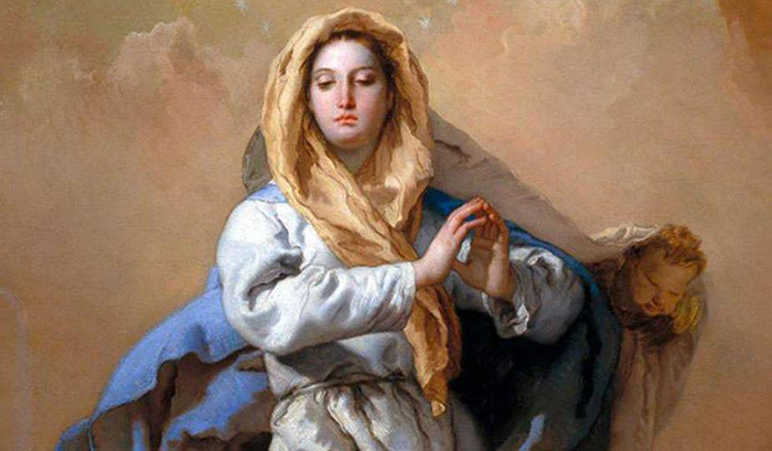 Elegidos para ser santos e inmaculados