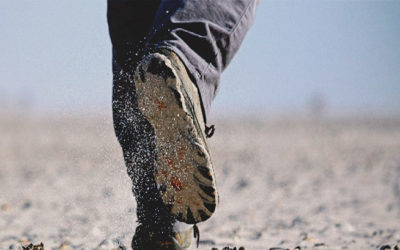 Tú, sígueme y deja que los muertos entierren a sus muertos