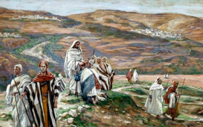 Sintió piedad de ellos, porque estaban como ovejas sin pastor