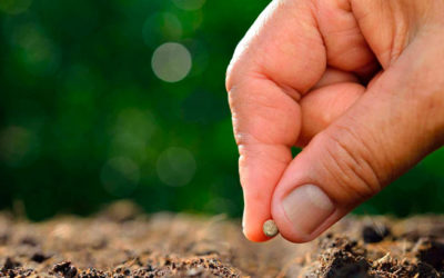 El Reino de los cielos