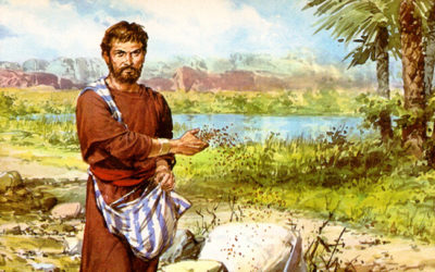 Entonces los justos brillarán como el sol en el Reino de su Padre