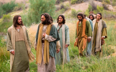 Todo aquel que no está contra nosotros, está a nuestro favor