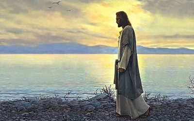 «Pero, confiado en tu palabra echaré las redes»