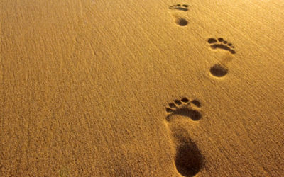 Pónganse en camino; los envío como corderos en medio de lobos