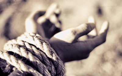 Con vuestra perseverancia salvaréis vuestras almas