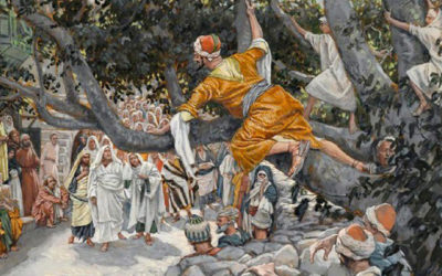 ¿Cuántas veces he perdido la paz por motivos materiales?