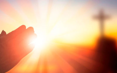 Que se haga en ustedes conforme a su fe