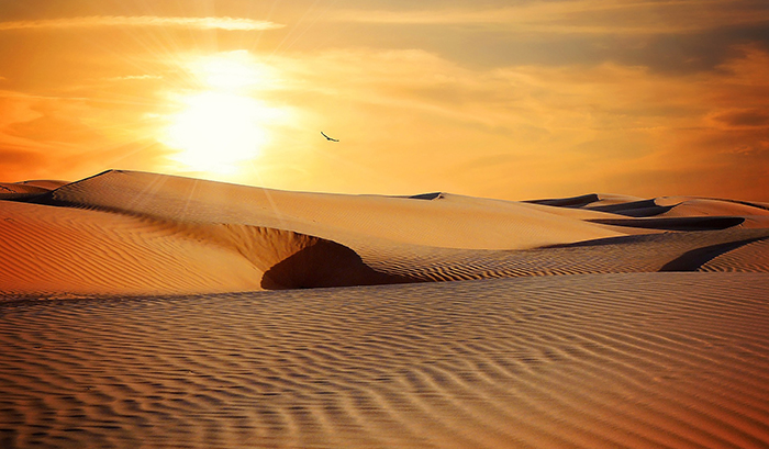 Toda carne verá la salvación