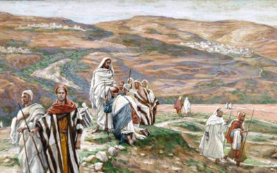 Yo los envío como corderos en medio de lobos