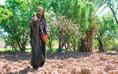 El Reino de Dios se parece a lo que sucede cuando un hombre siembra la semilla en la tierra