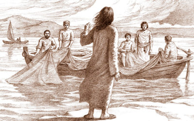 ¿Por qué tenían tanto miedo? ¿Aún no tienen fe?