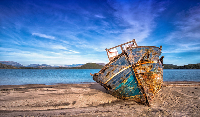 Dejándolo todo, lo siguieron