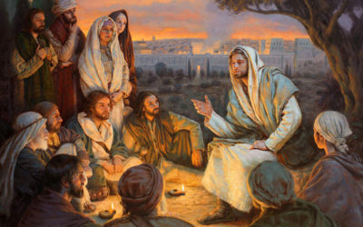 Lo hemos dejado todo para seguirte