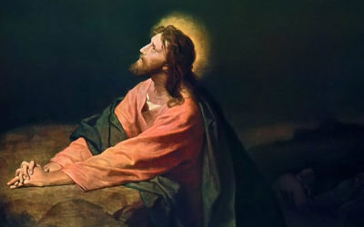 El Padre que me envió, él mismo ha dado testimonio de mí