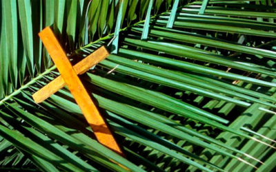 Domingo de Ramos