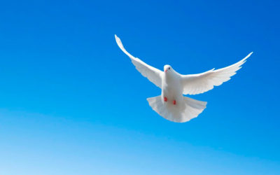 El que me ama cumplirá mi palabra