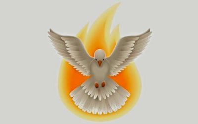 El Espíritu de verdad que procede del Padre dará testimonio de mí