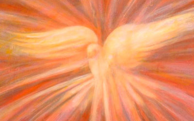 El Espíritu de verdad los irá guiando hasta la verdad plena