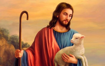 Mis ovejas escuchan mi voz