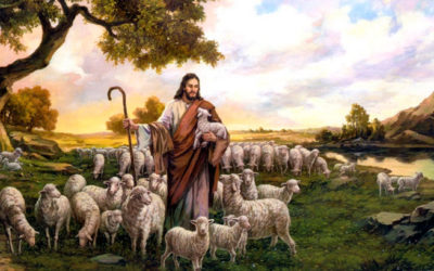 Yo soy la puerta de las ovejas