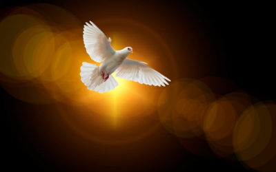 El que acepta mis mandamientos y los cumple me ama