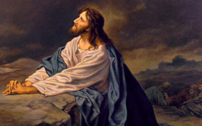 Yo les he dado a conocer tu nombre y se lo seguiré dando a conocer