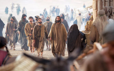 Proclamen por el camino que ya se acerca el Reino de los cielos