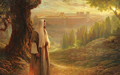 ¿Por qué me has dado tanto, Señor?