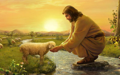 Aprendan de mí, que soy manso y humilde de corazón