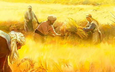 El sembrador de la buena semilla es el Hijo del hombre