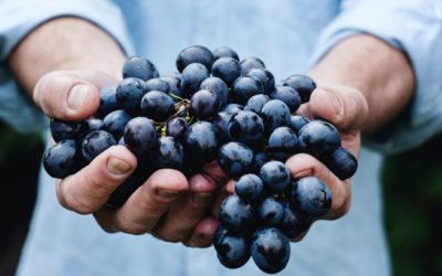 Dame la gracia, Señor, de poner a trabajar, los talentos que me has dado