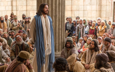 ¿Cómo nos salvaremos?