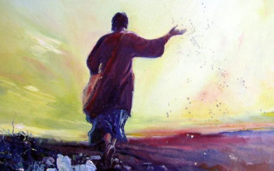 Los de la tierra buena dan fruto perseverando