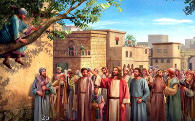 Hoy ha llegado la salvación a esta casa