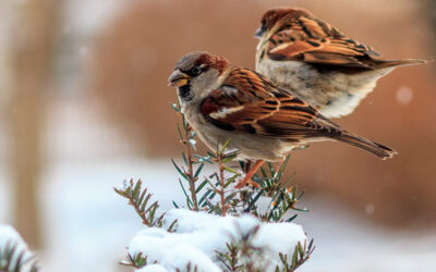 No hay nada oculto que no llegue a descubrirse