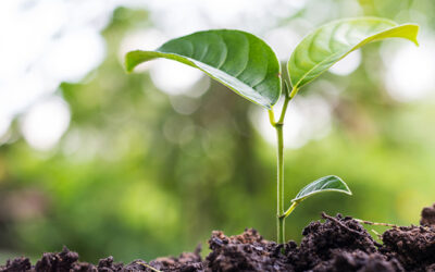 Tu invitación es clara: ¡conviértete!