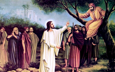 Una higuera que da fruto