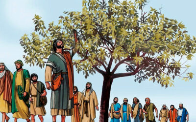 El Reino de Dios está cerca