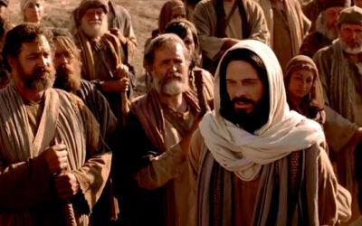 ¿Eres Tú el que ha de venir o tenemos que esperar a otro?