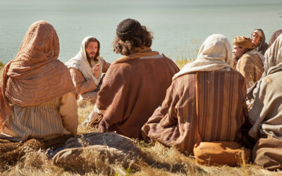 La cosecha es mucha y los trabajadores, pocos