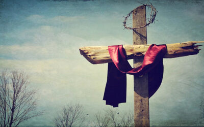 La cruz es el camino