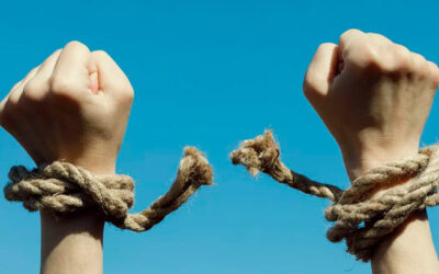 La verdad os hará libres