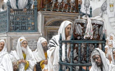 Nadie es profeta en su tierra