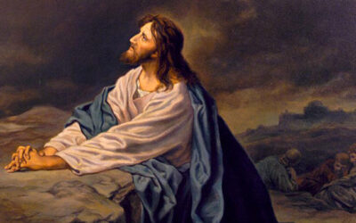 He venido en nombre de mi Padre