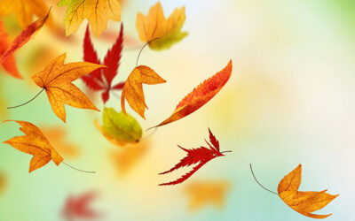 El viento sopla donde quiere