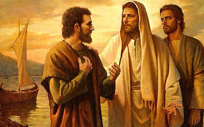 Señor, ¿a quién iremos?