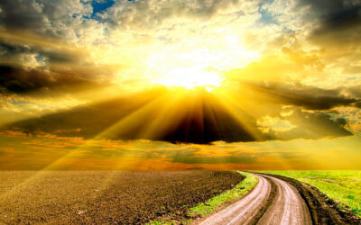 Yo soy el camino, la verdad y la vida