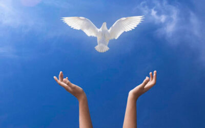 El Espíritu Santo dará testimonio de mí