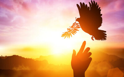 La paz les dejo, mi paz les doy