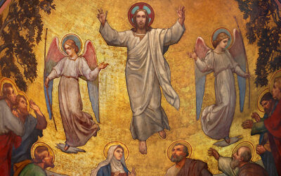 Yo estaré con ustedes todos los días